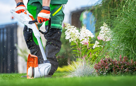 Why Professional Pest Control is Important for Your Home in Delhi NCR services02